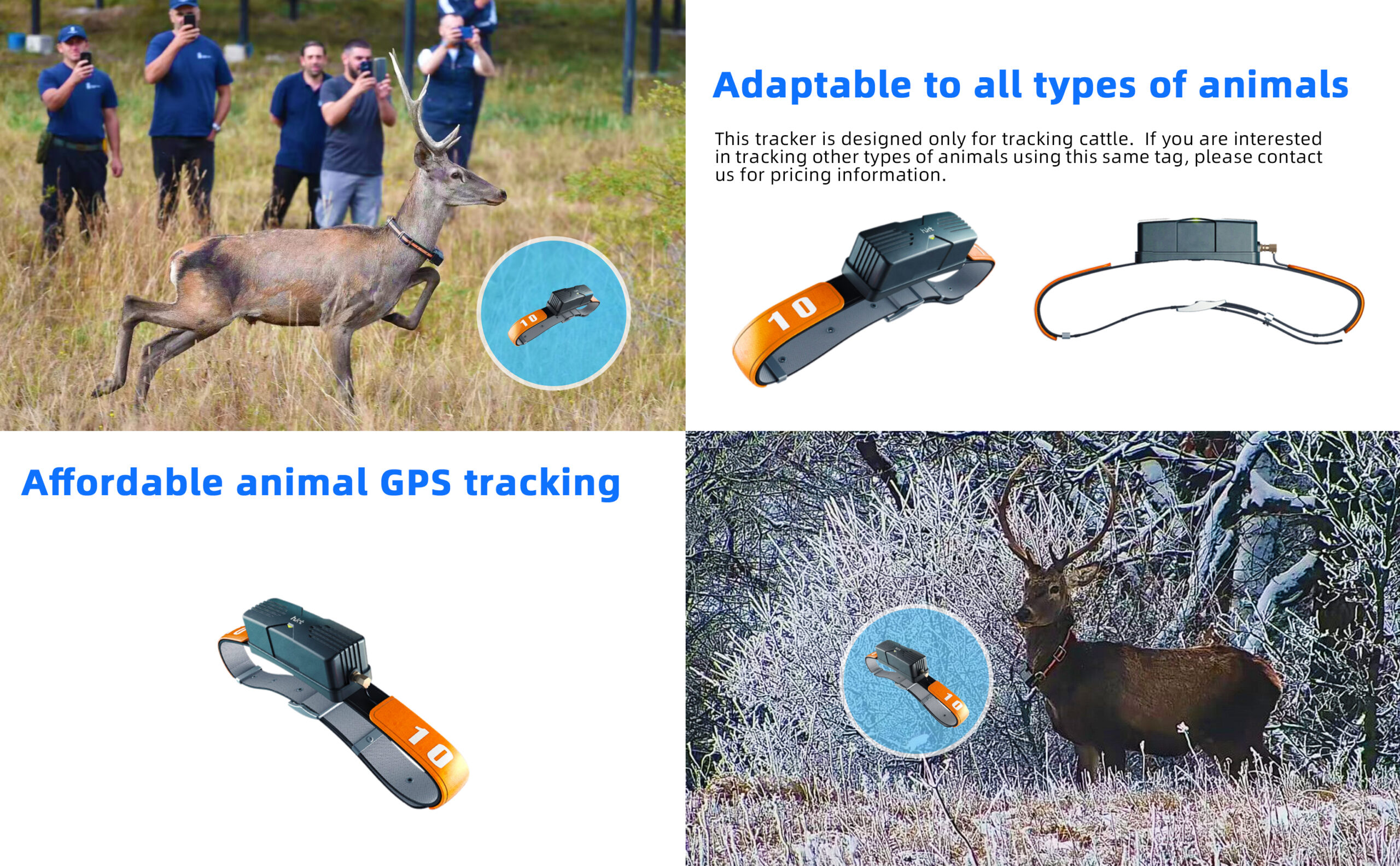 LoRaWAN Animal Tracker | Cow/Cattle GPS tracker | HKT LORA